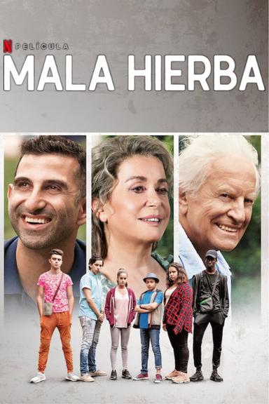 Mala hierba