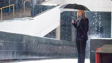 Homeland 4x8