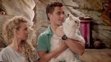 Mako Mermaids: An H2O Adventure 2x16